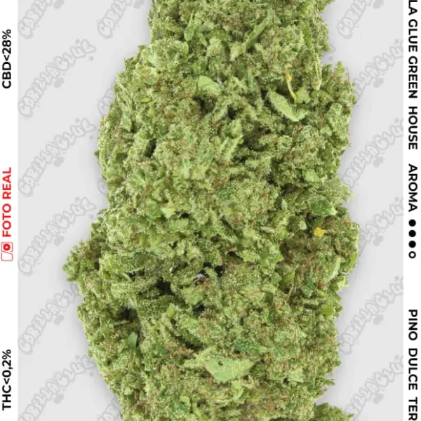 GORILLA GLUE