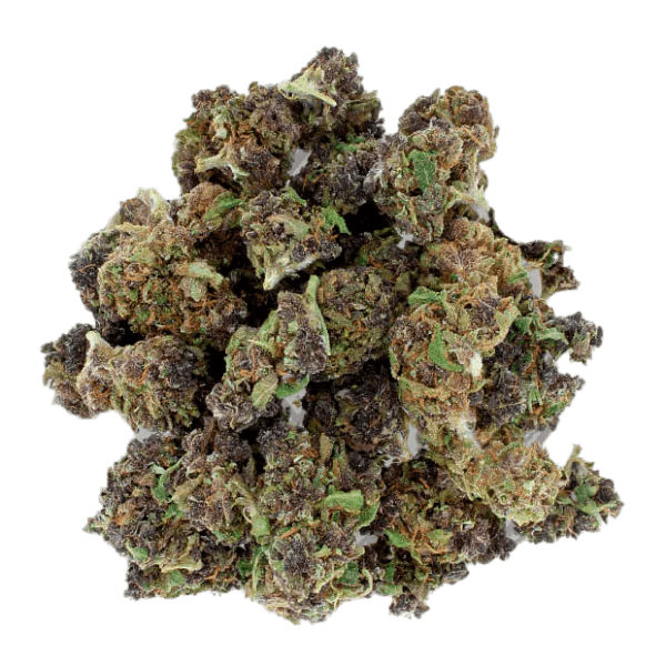 PURPLE PUNCH